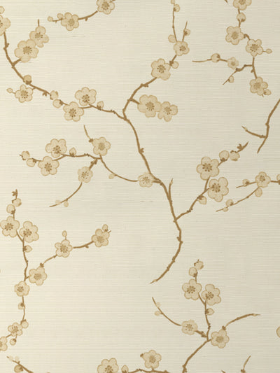 'Cherry Blossom' Grasscloth Wallpaper by Nathan Turner - Gold