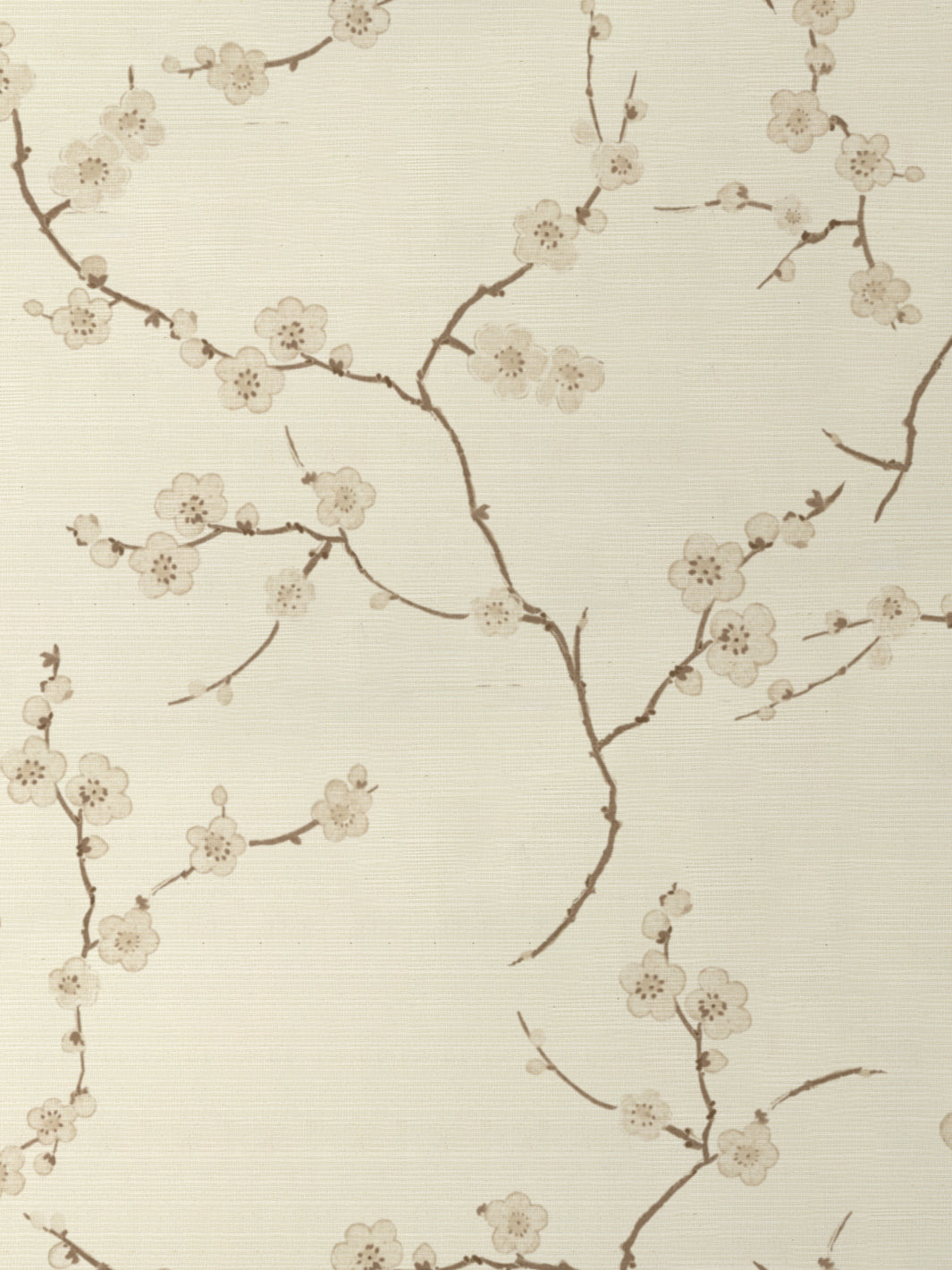 Cherry Blossom' Grasscloth Wallpaper by Nathan Turner - Neutral