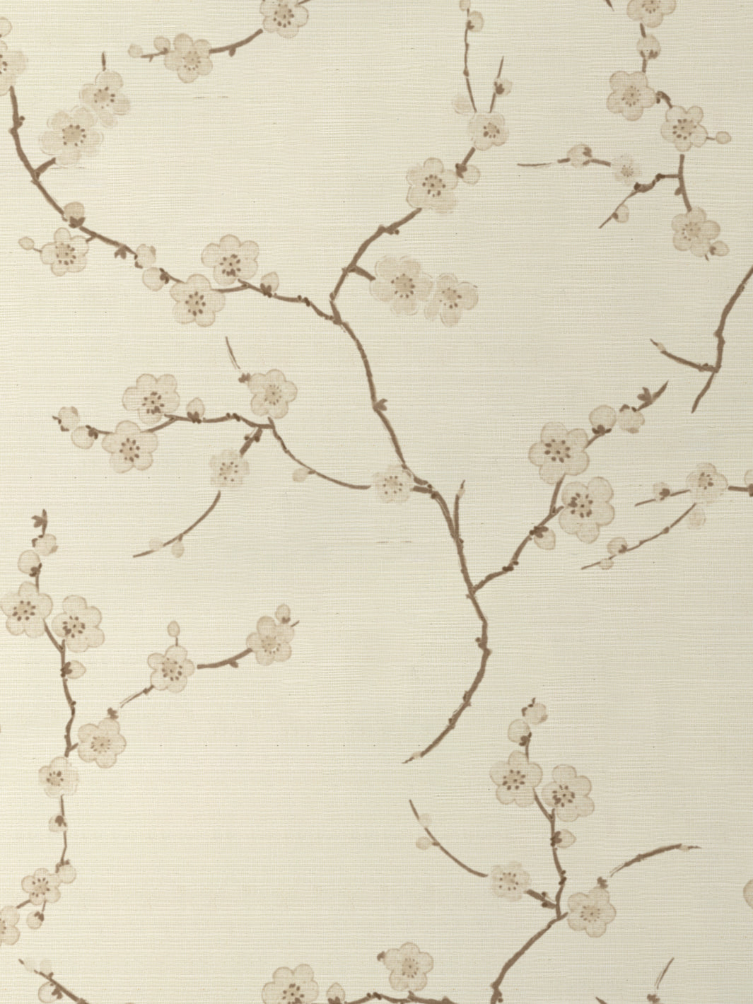 'Cherry Blossom' Grasscloth Wallpaper by Nathan Turner - Neutral