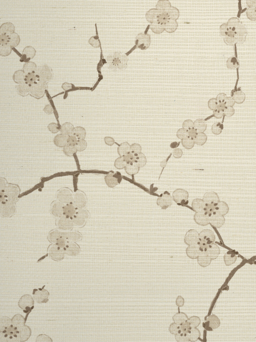 cherry blossom grasscloth wallpaper by nathan turner neutral