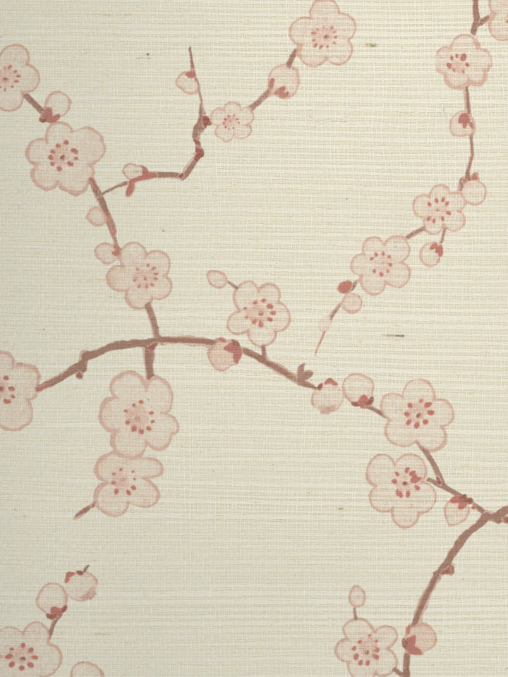 cherry blossom grasscloth wallpaper by nathan turner pink