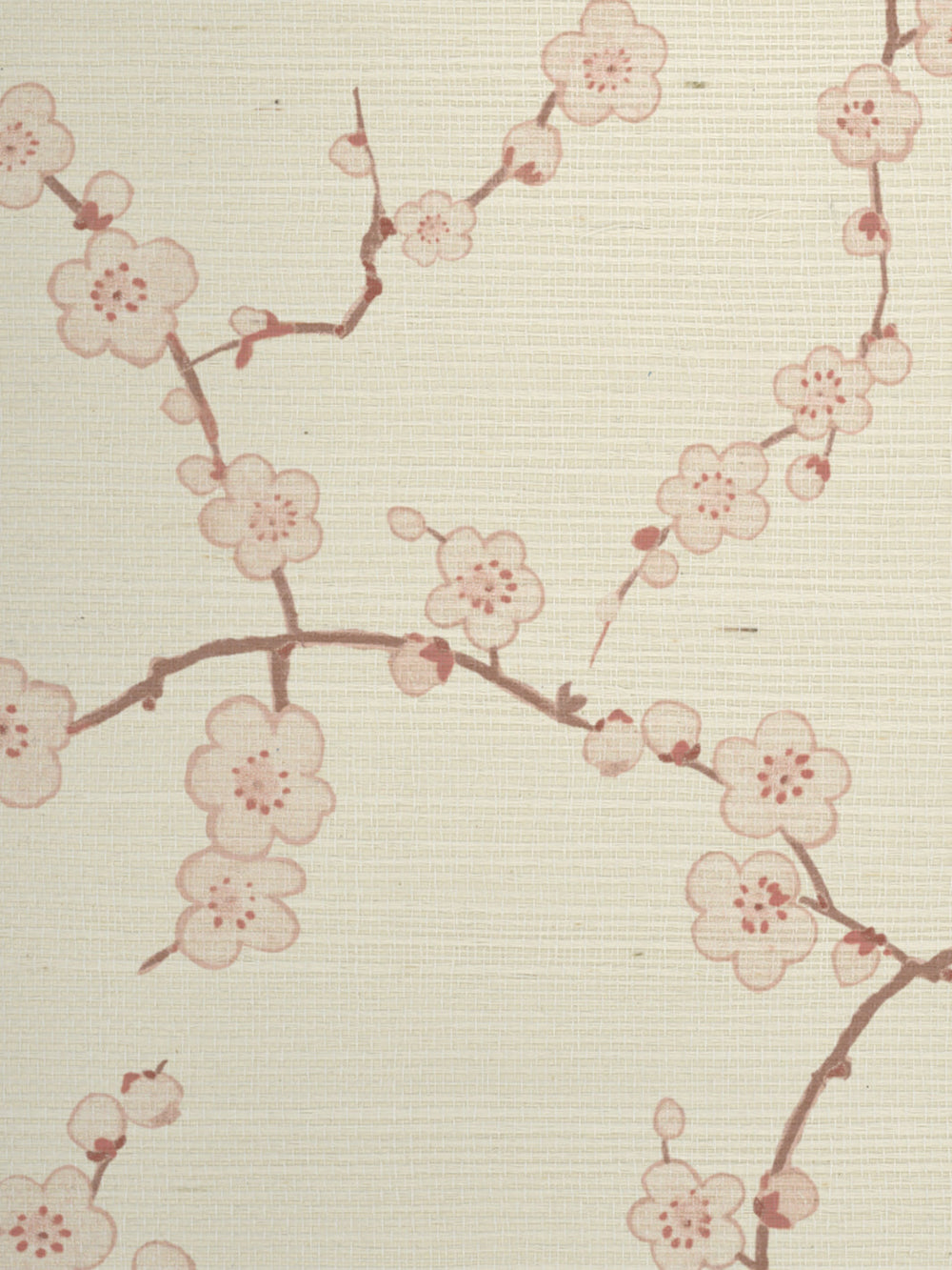 cherry blossom grasscloth wallpaper by nathan turner pink