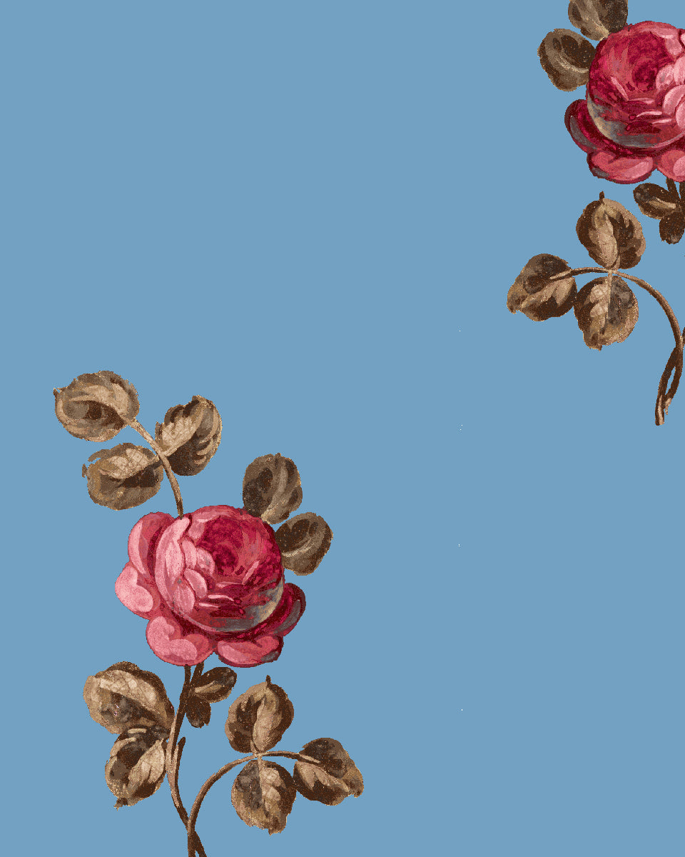 'Corsage' Wallpaper by Clare V. - Azure Rose
