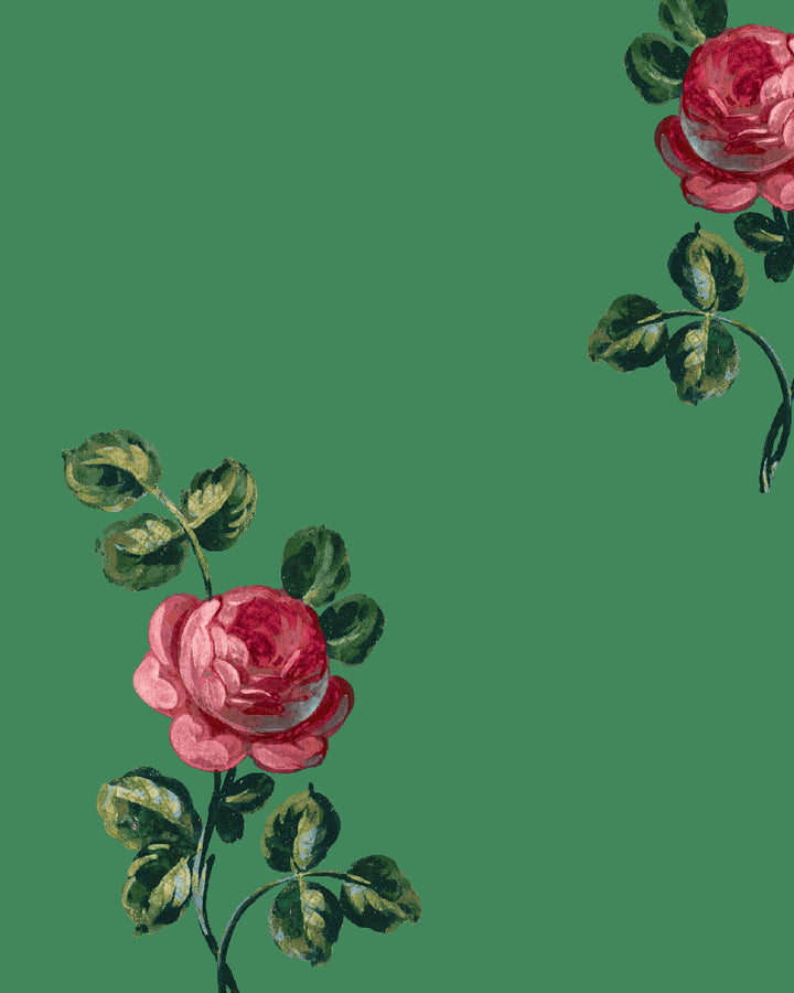'Corsage' Wallpaper by Clare V. - Fern Rose