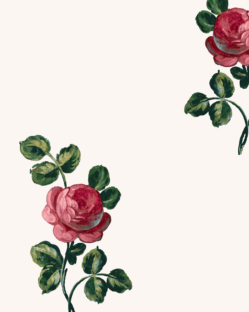 'Corsage' Wallpaper by Clare V. - Lipstick Cream