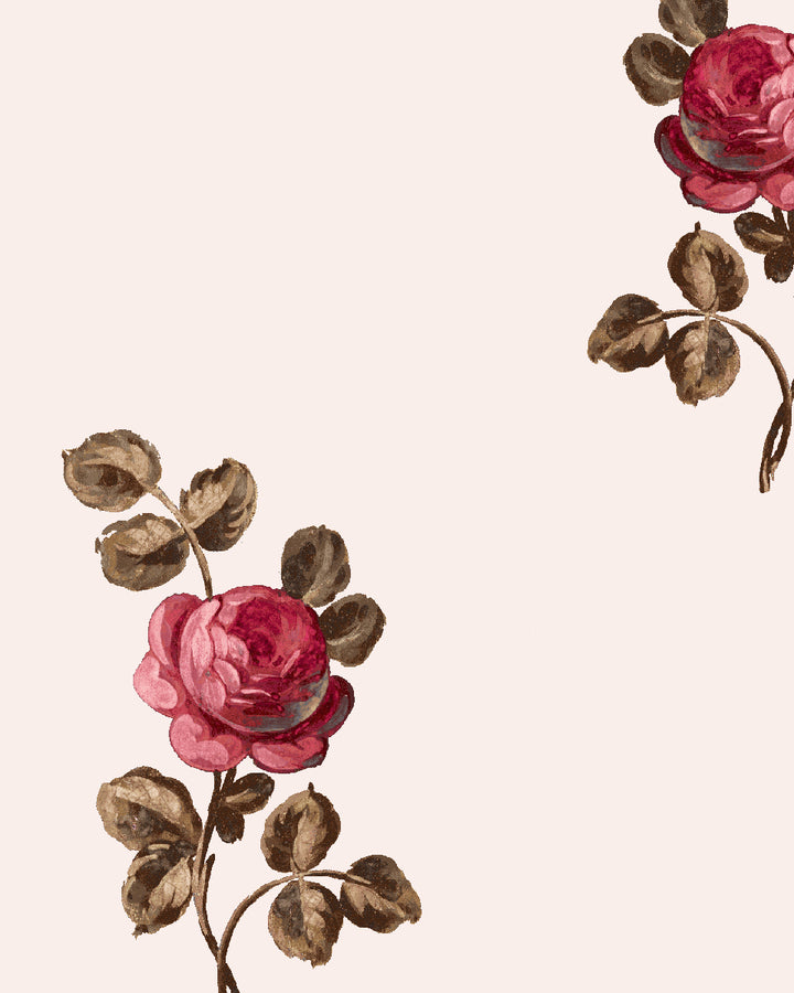 'Corsage' Wallpaper by Clare V. - Petal Brown