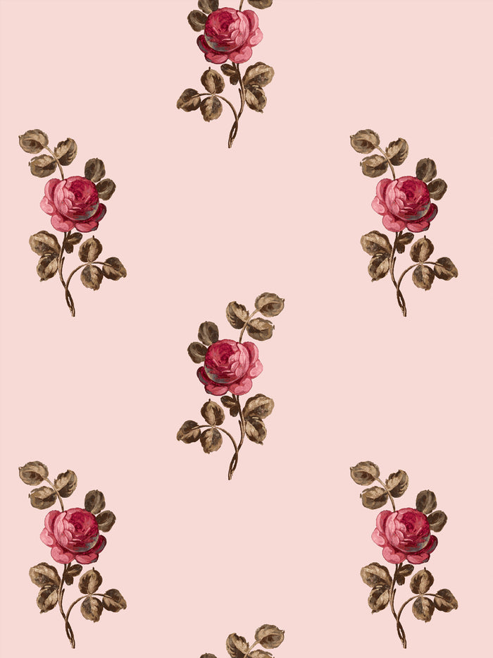 'Corsage' Wallpaper by Clare V. - Blush Rose