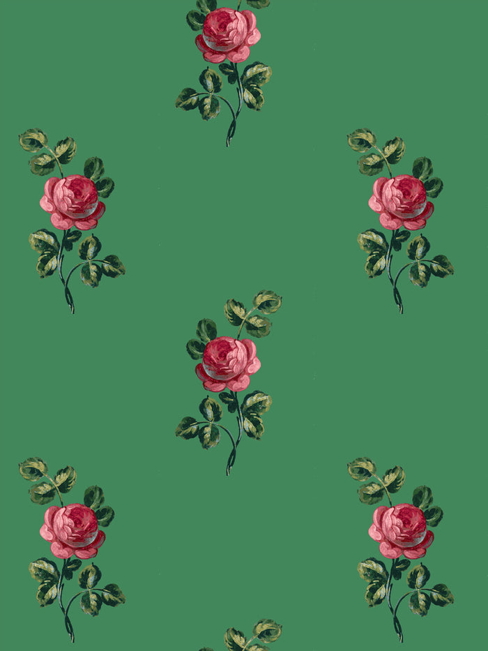 'Corsage' Wallpaper by Clare V. - Fern Rose
