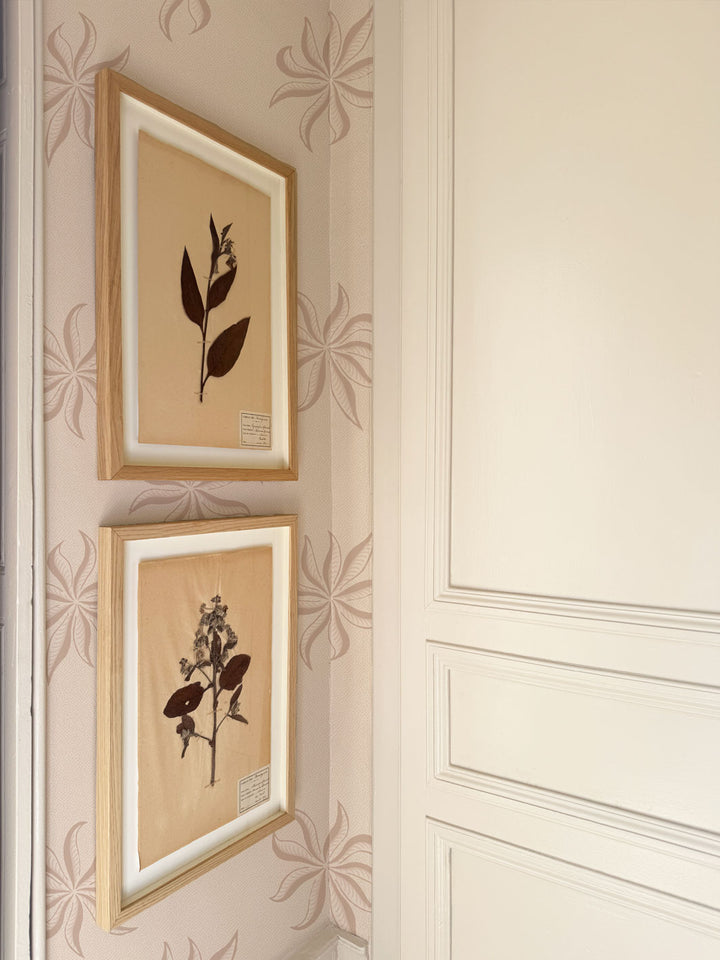 'Dot Frisée' Wallpaper by Clare V. - Cream Bisque