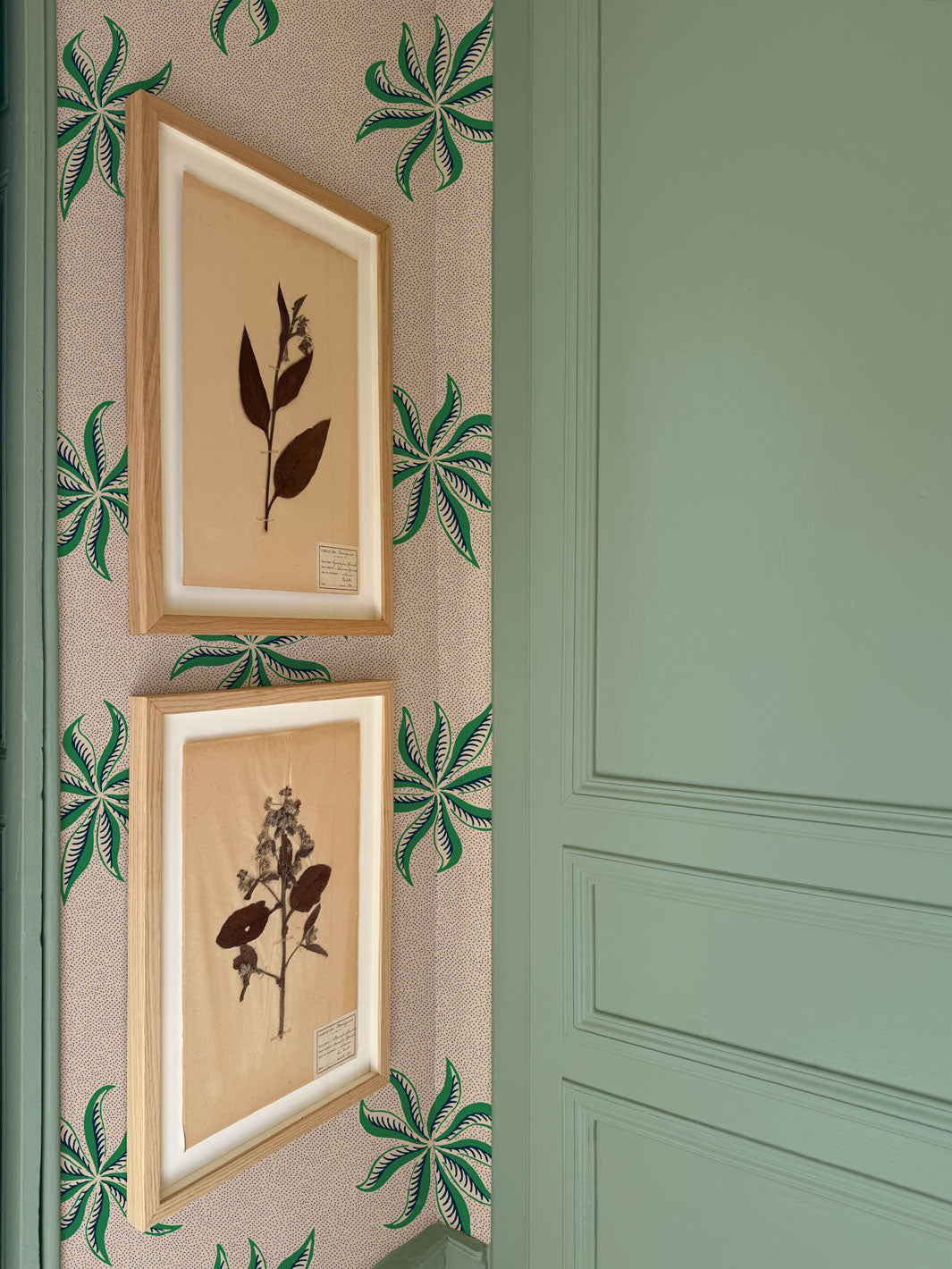 'Dot Frisée' Wallpaper by Clare V. - Fern Parchment