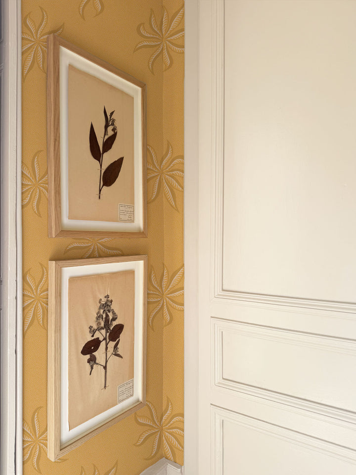 'Dot Frisée' Wallpaper by Clare V. - Gold Buttercream