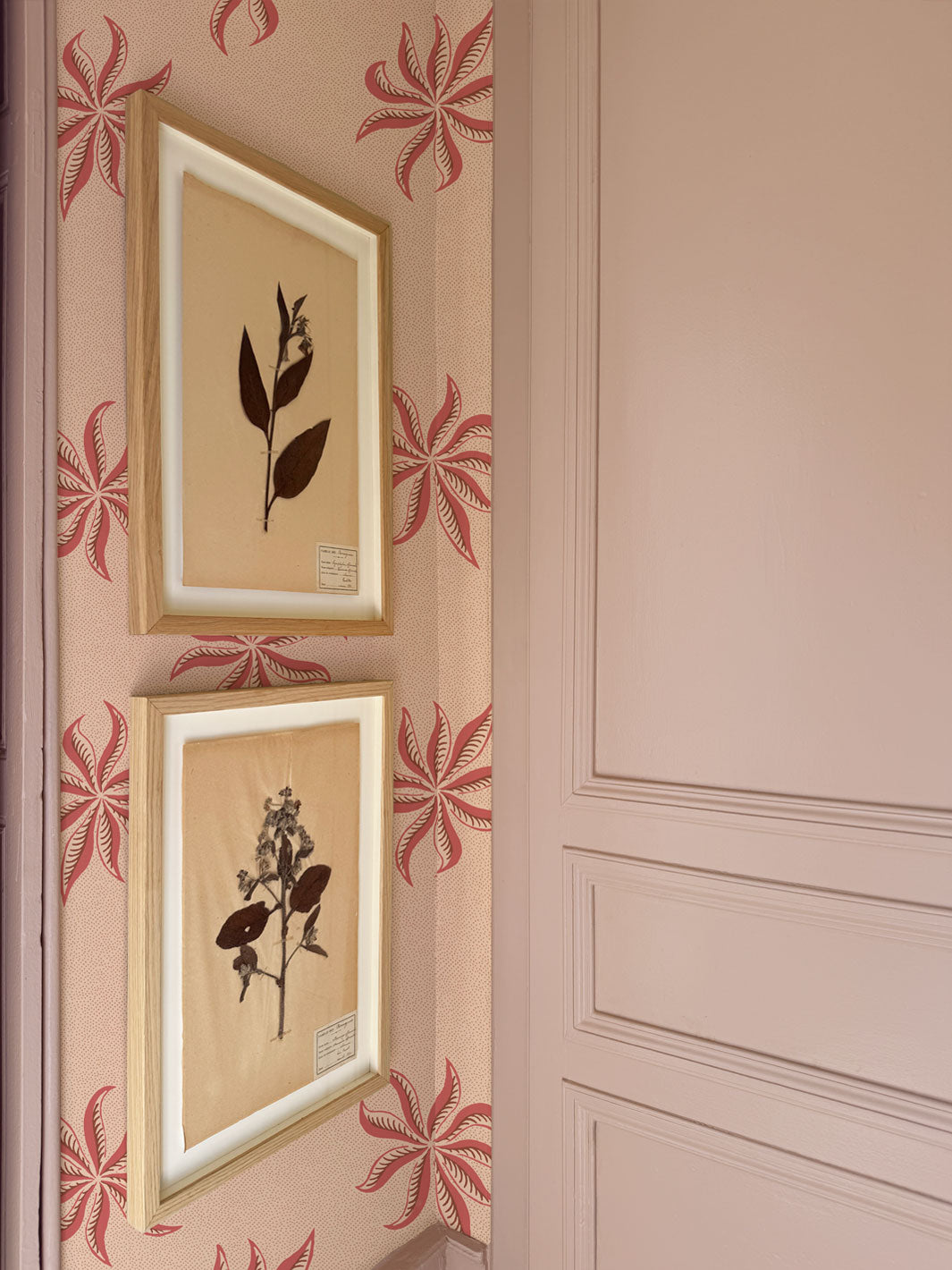 'Dot Frisée' Wallpaper by Clare V. - Rouge Petal