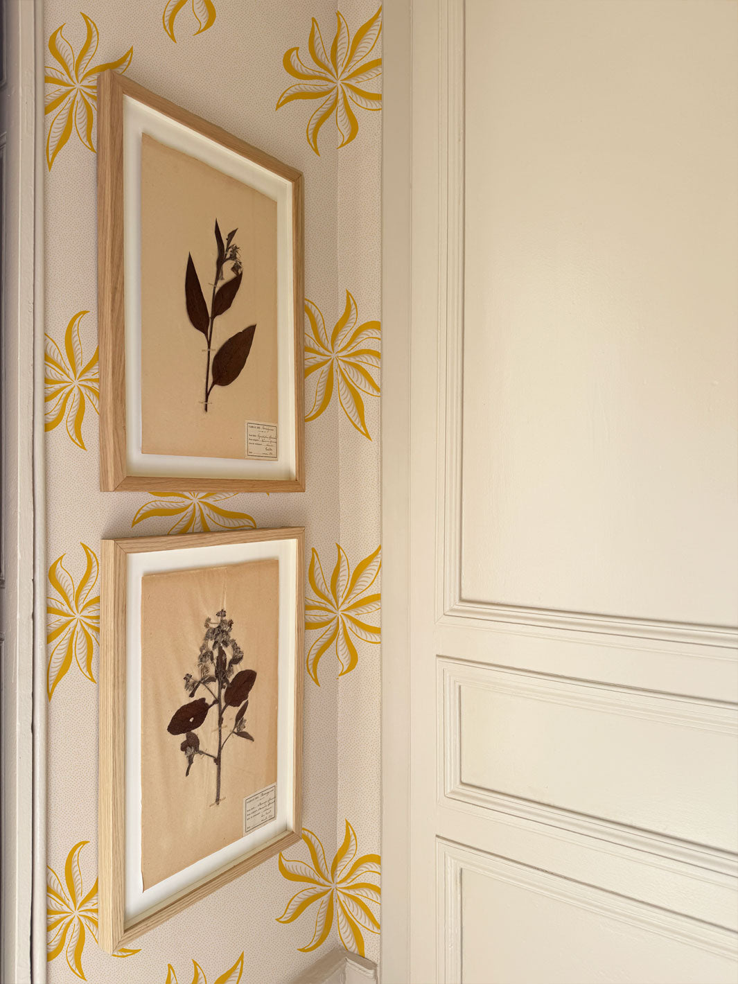 'Dot Frisée' Wallpaper by Clare V. - Yellow Cream