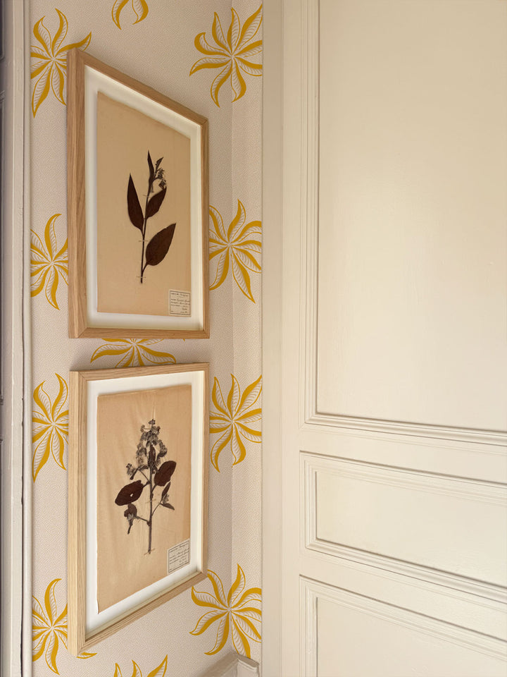 'Dot Frisée' Wallpaper by Clare V. - Yellow Cream