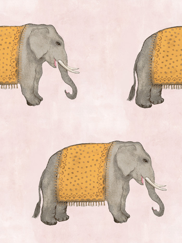 'Elephant' Wallpaper by Mary Maguire - Blush