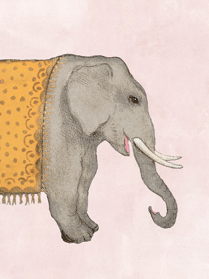 Elephant wallpaper close-up featuring a gray elephant with orange patterned cloth