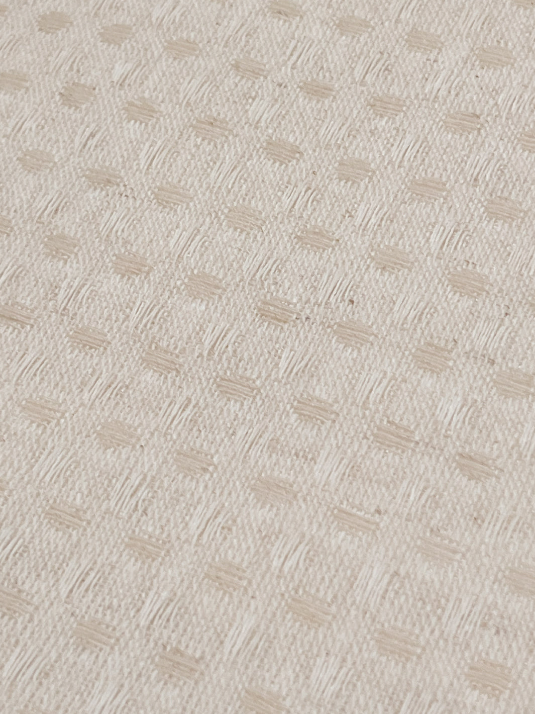elkgrove cotton fabric by nathan turner cream 1