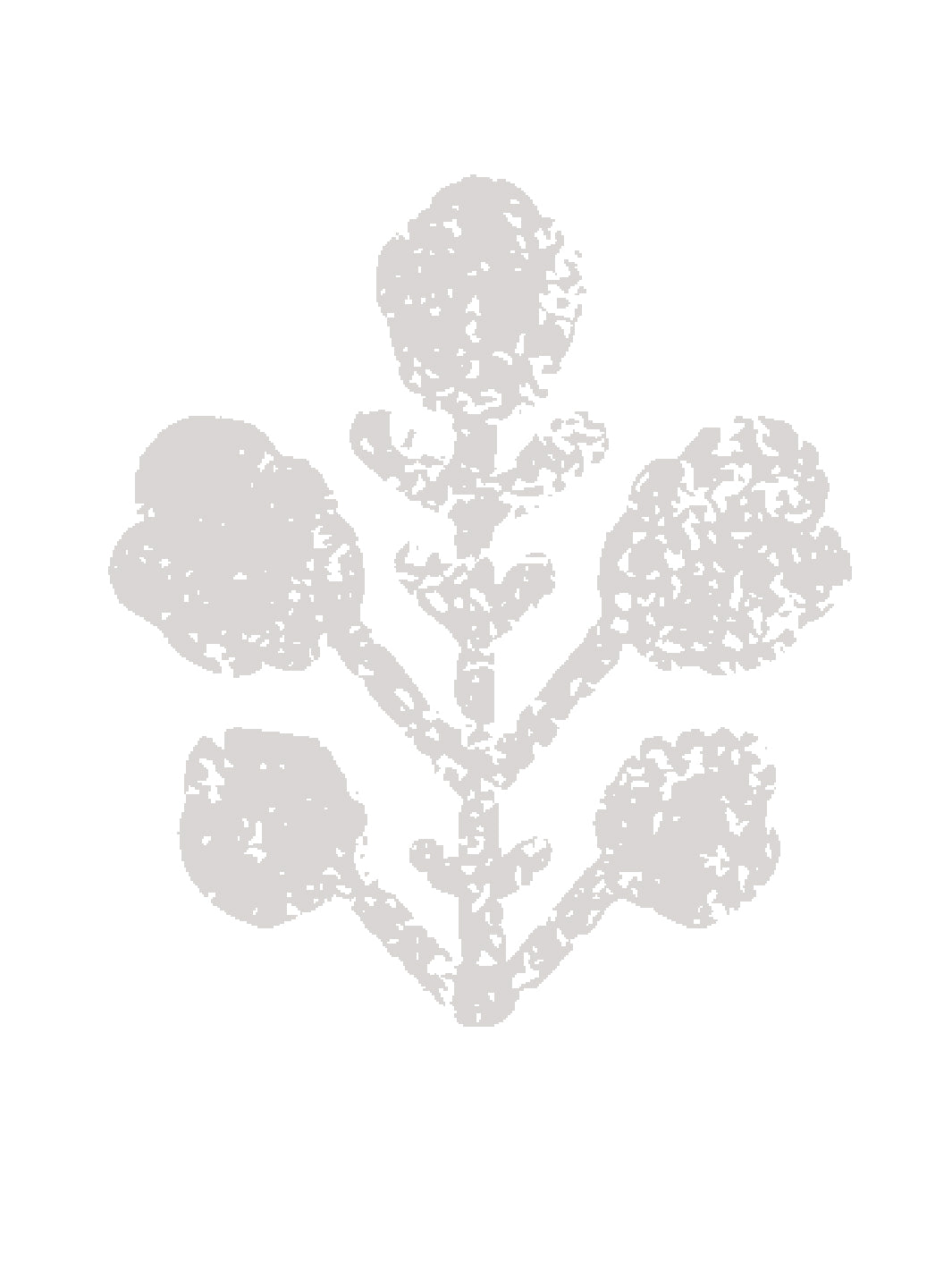 ensley-large-white-ground-wallpaper-by-sugar-paper-stone