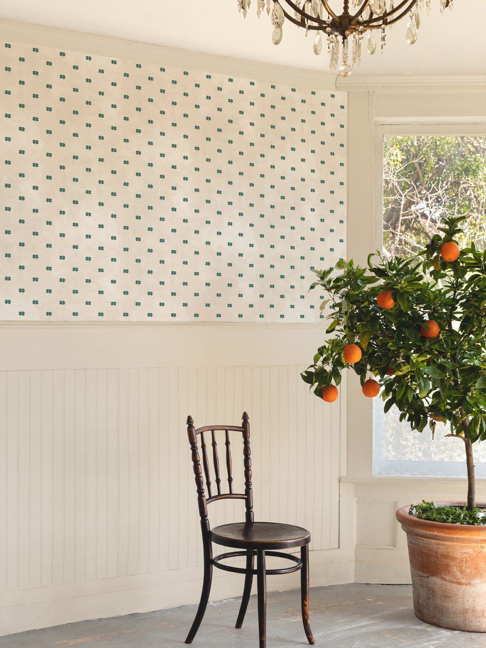 Four-leaf clover wallpaper on an interior wall with teal clover motifs on parchment