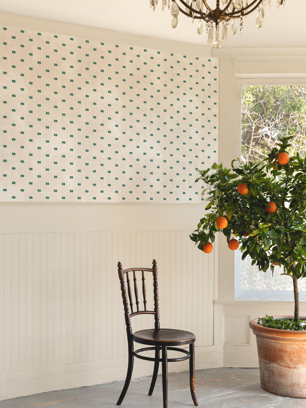 Four-leaf clover wallpaper on an interior wall with teal clover motifs on parchment