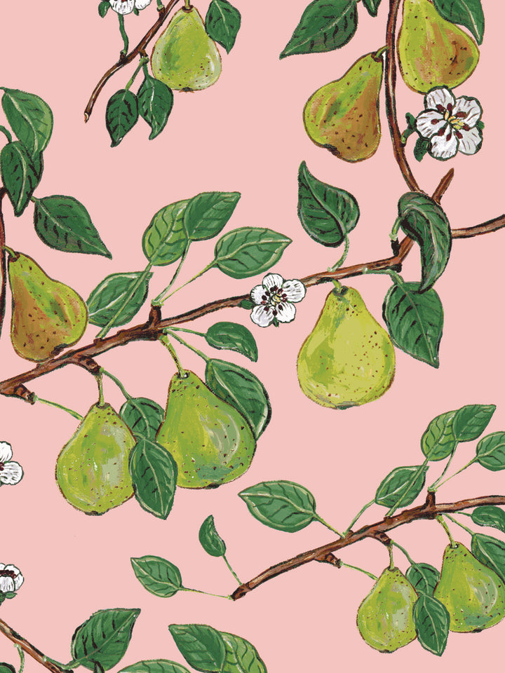 giardino-di-pere-wallpaper-by-carly-beck-pink