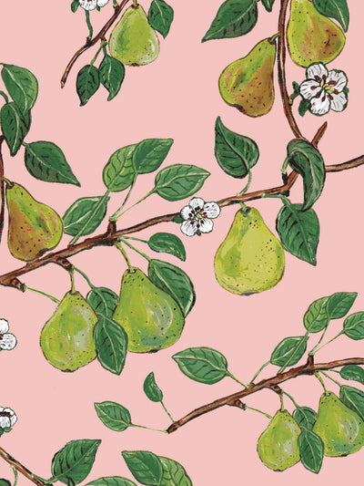 giardino di pere wallpaper by carly beck pink