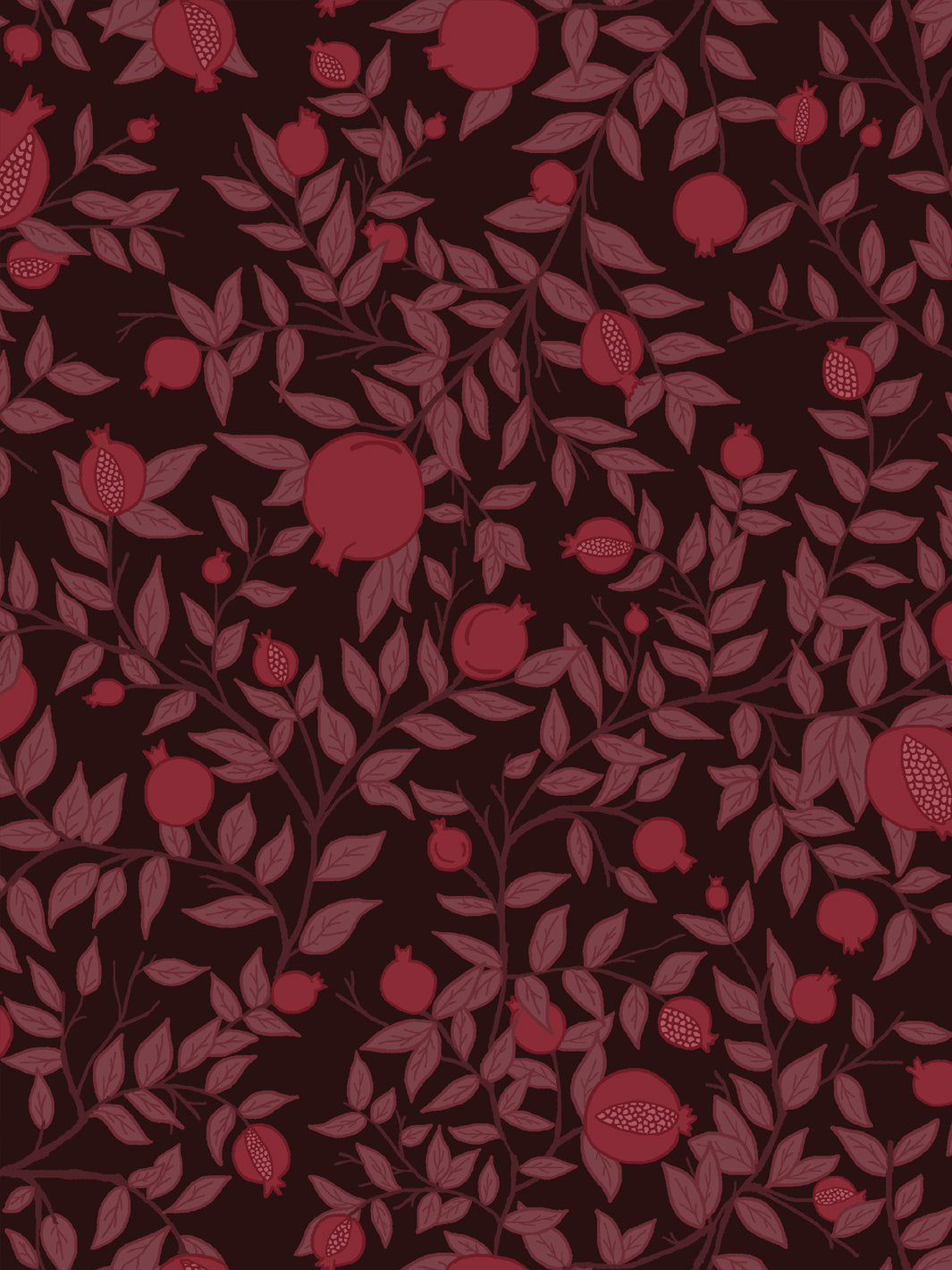 Close crop of crimson garnet red pomegranate fruit on very dark brown-black