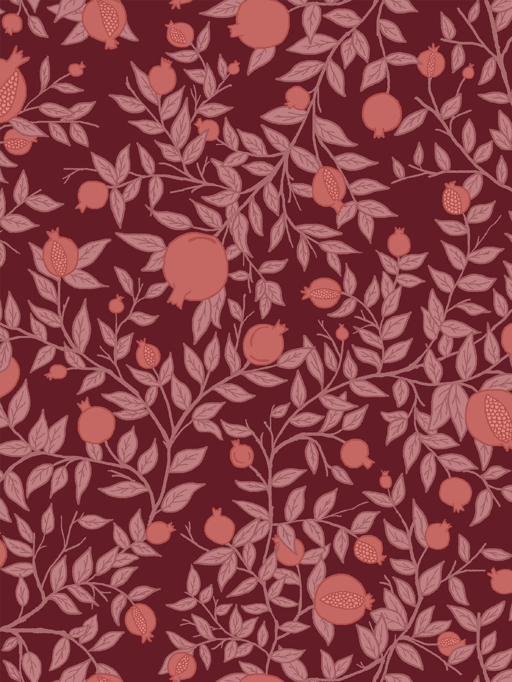 Close crop of coral-salmon pink pomegranate fruit on deep merlot wine red