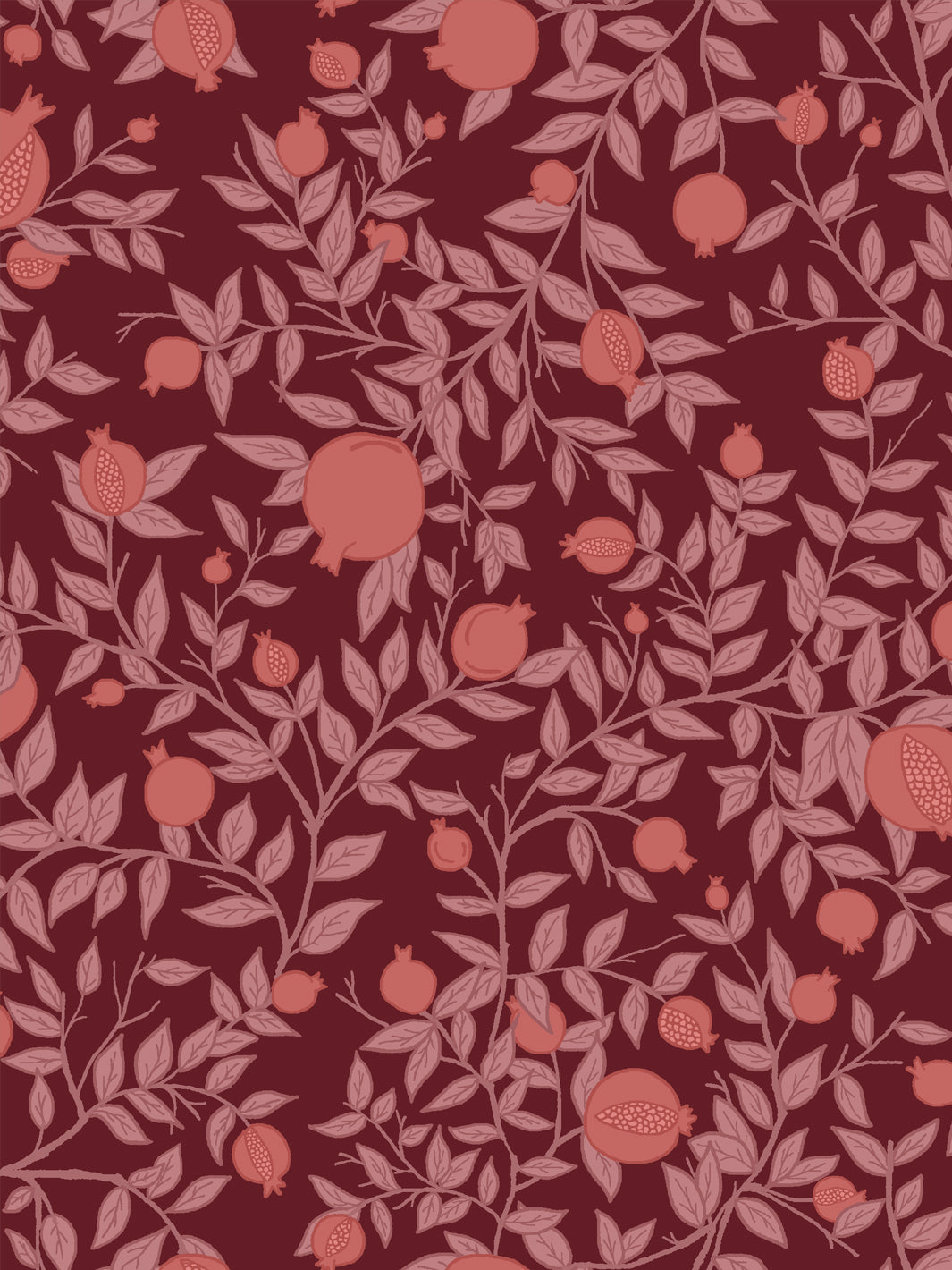 Close crop of coral-salmon pink pomegranate fruit on deep merlot wine red