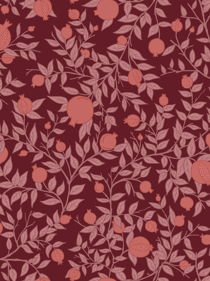 Close crop of coral-salmon pink pomegranate fruit on deep merlot wine red