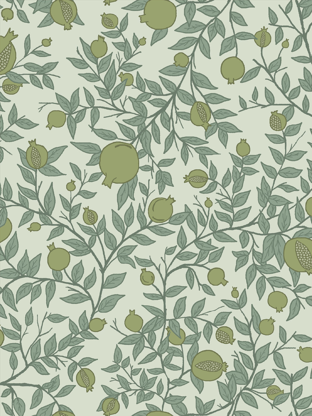 Close crop of olive-moss green pomegranate fruit on pale mint-celadon