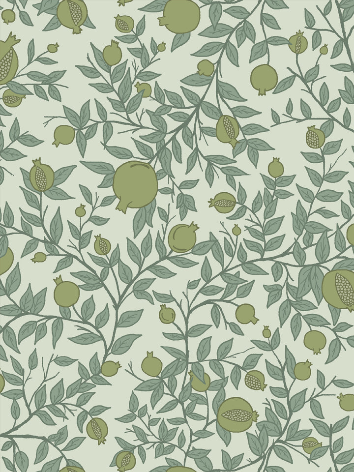 Close crop of olive-moss green pomegranate fruit on pale mint-celadon