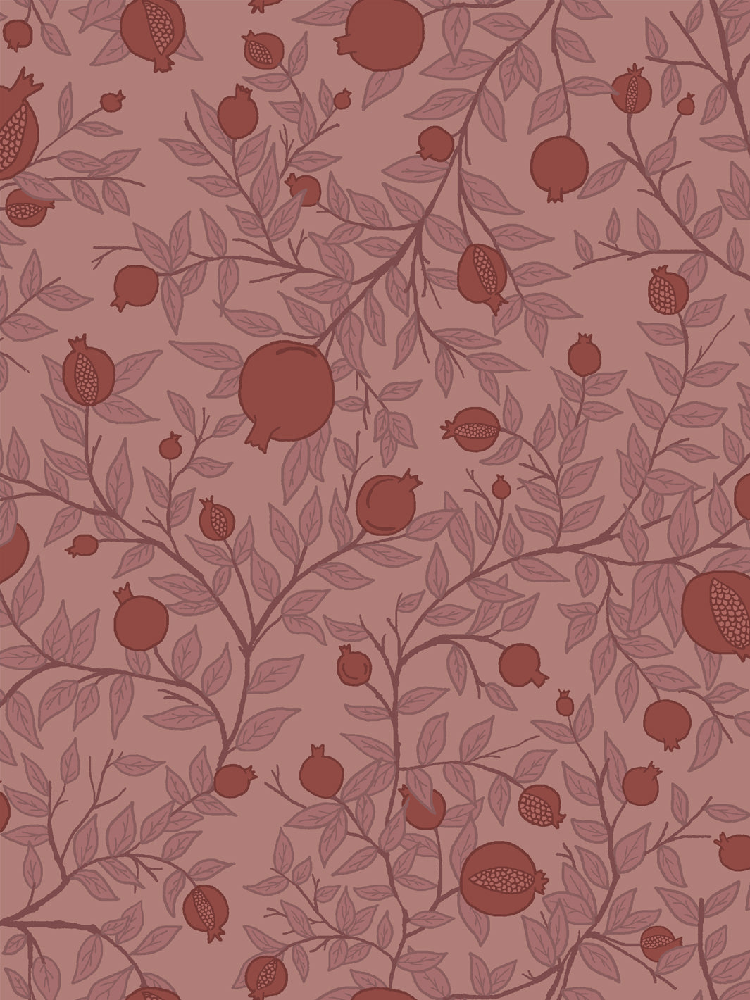Close crop of oxblood and brick red pomegranate fruit on dusty rose clay pink