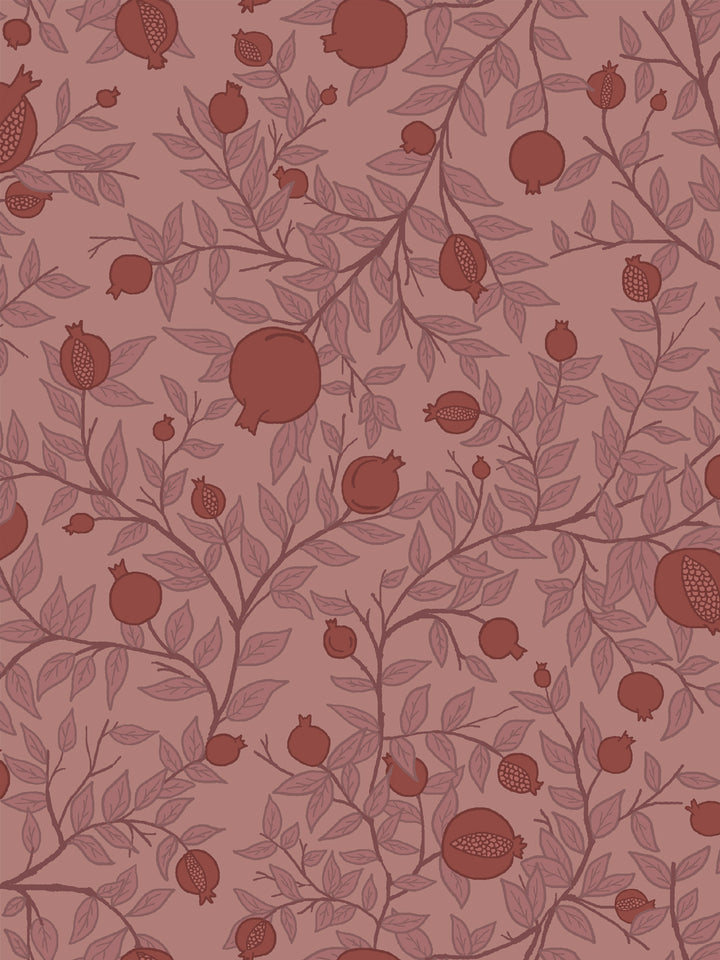 Close crop of oxblood and brick red pomegranate fruit on dusty rose clay pink