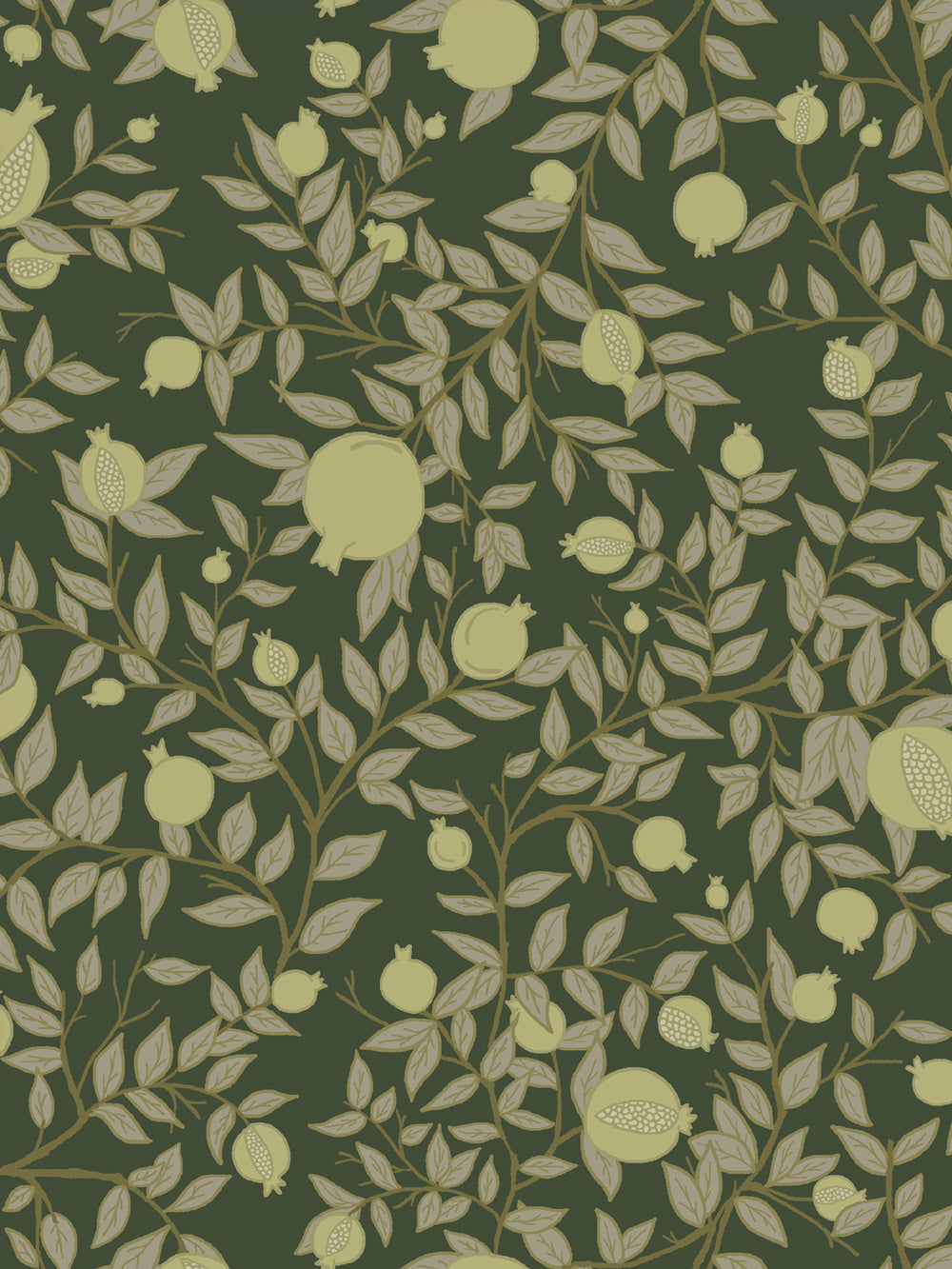Close crop of pale chartreuse-olive pomegranate fruit on deep forest-olive green