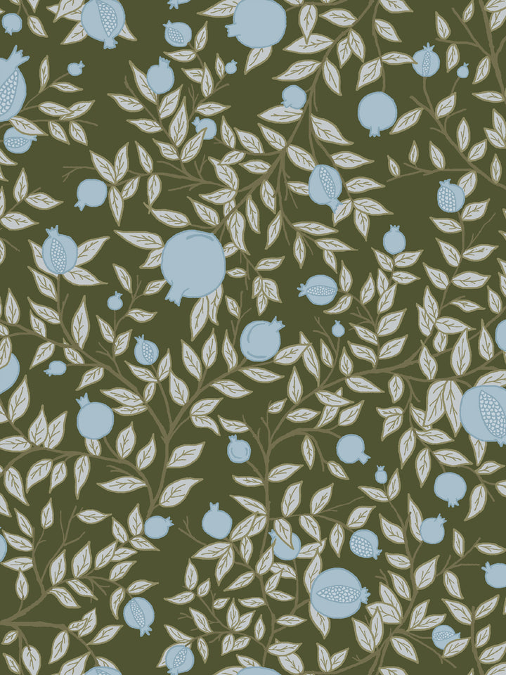 Close crop of powder blue pomegranate fruit on deep olive-forest green