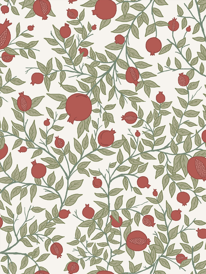 Close crop of brick red pomegranate fruit on ivory off-white