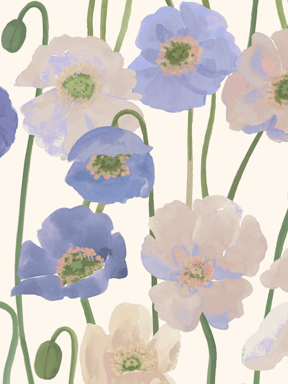 'Icelandic Poppies' Wallpaper in Blue Cream - Detail Close-Up