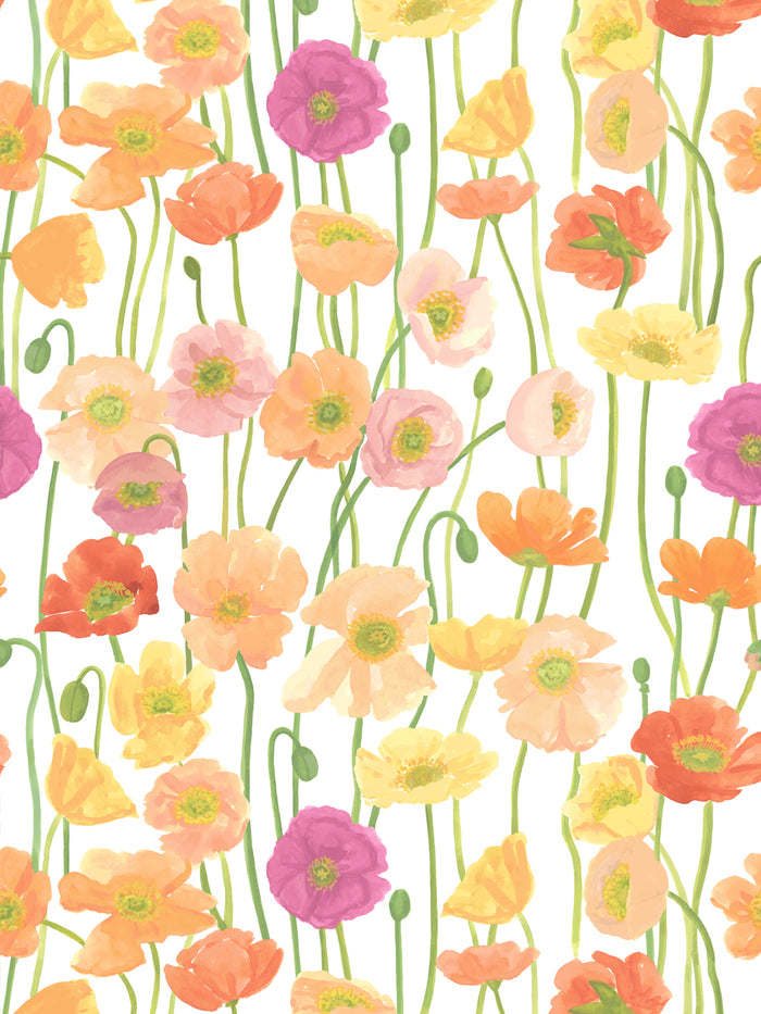 'Icelandic Poppies' Wallpaper by Wallshoppe - Flower Field