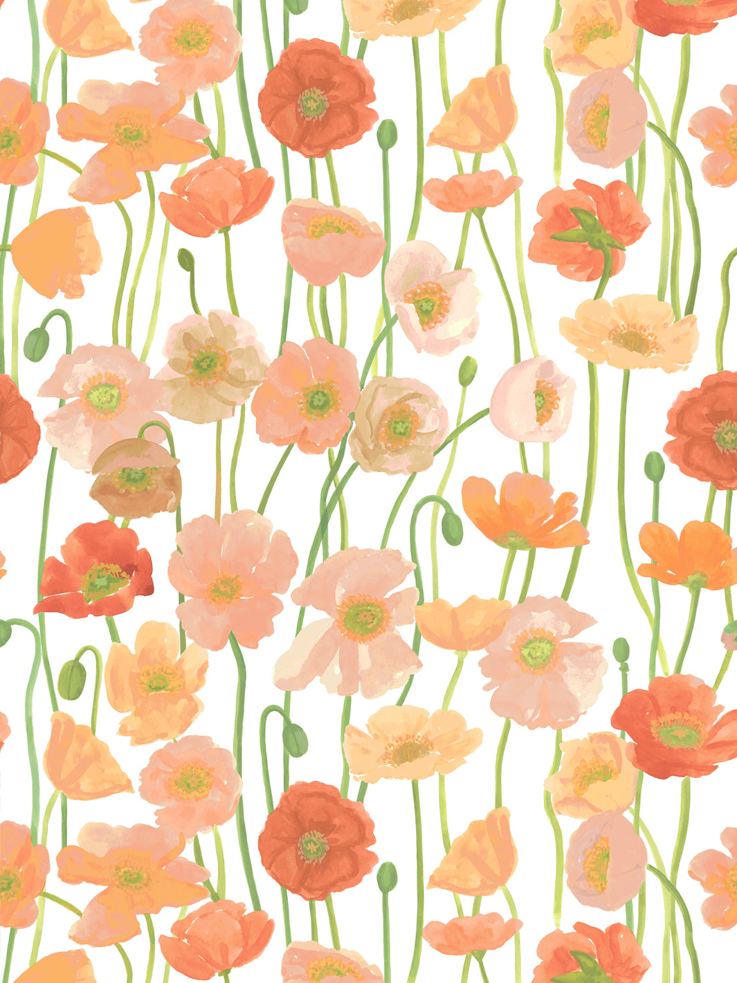 'Icelandic Poppies' Wallpaper in Coral Peach - Design Pattern