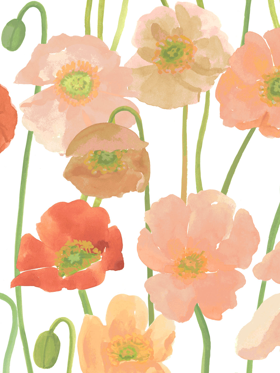 'Icelandic Poppies' Wallpaper in Coral Peach - Detail Close-Up