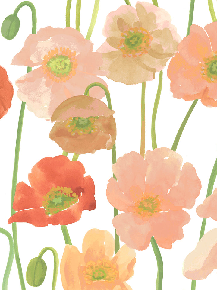 'Icelandic Poppies' Wallpaper in Coral Peach - Detail Close-Up