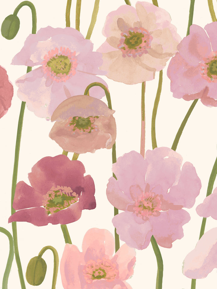 'Icelandic Poppies' Wallpaper in Pink Cream - Detail Close-Up