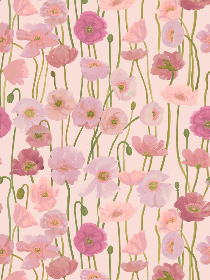 'Icelandic Poppies' Wallpaper in Pinks - Design Pattern