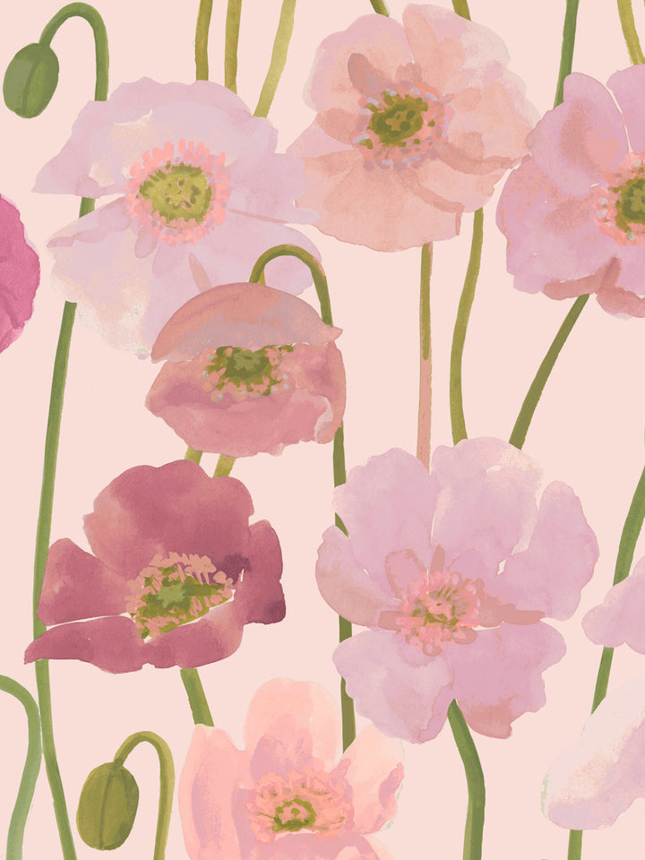 'Icelandic Poppies' Wallpaper in Pinks - Detail Close-Up