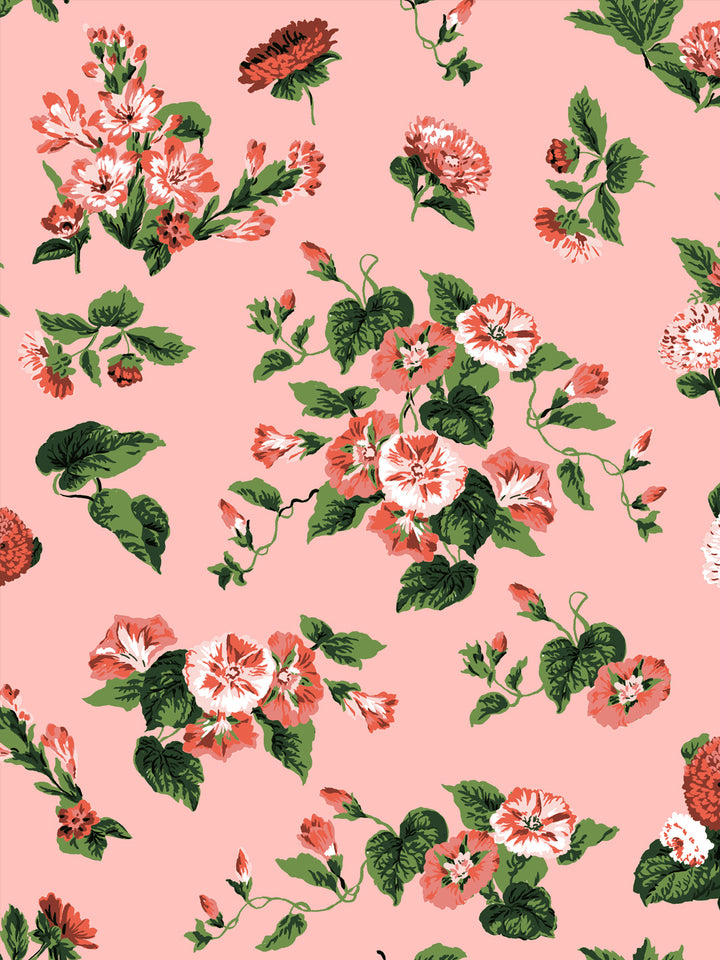'La Zinnia' Wallpaper by Clare V. - Pink Blush