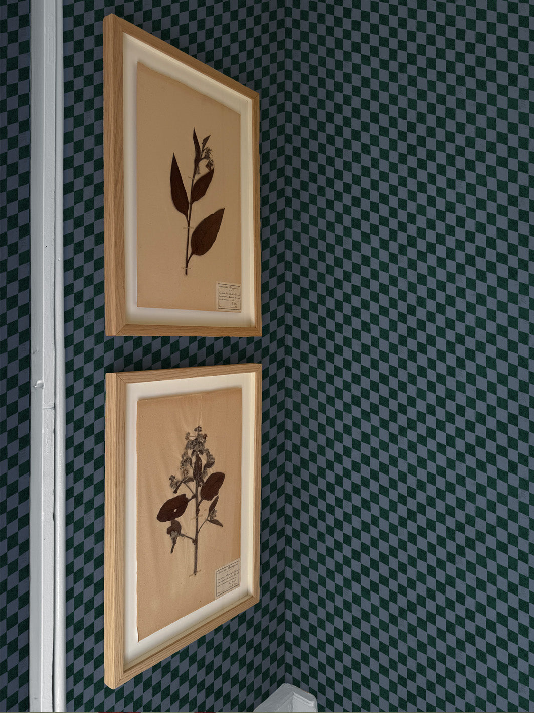 'Le Check' Wallpaper by Clare V. - Midnight Forest