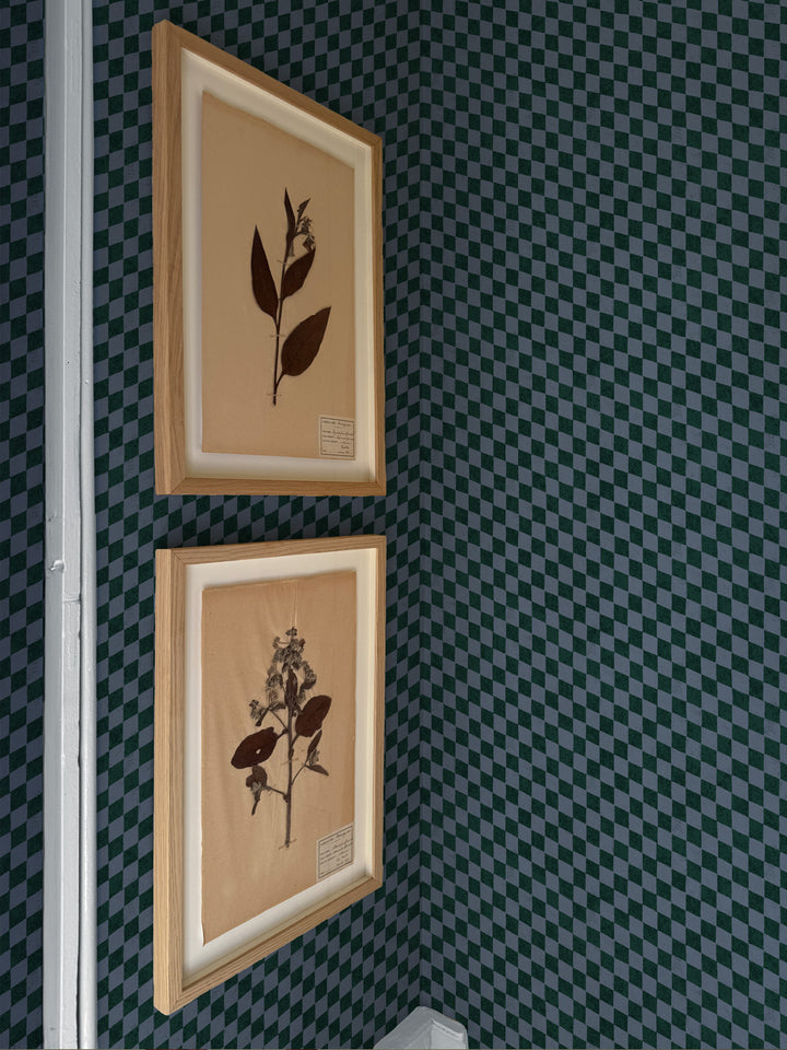 'Le Check' Wallpaper by Clare V. - Midnight Forest