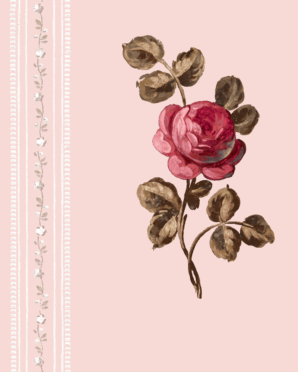 'Le Rosebud' Wallpaper by Clare V. - Blush Rose