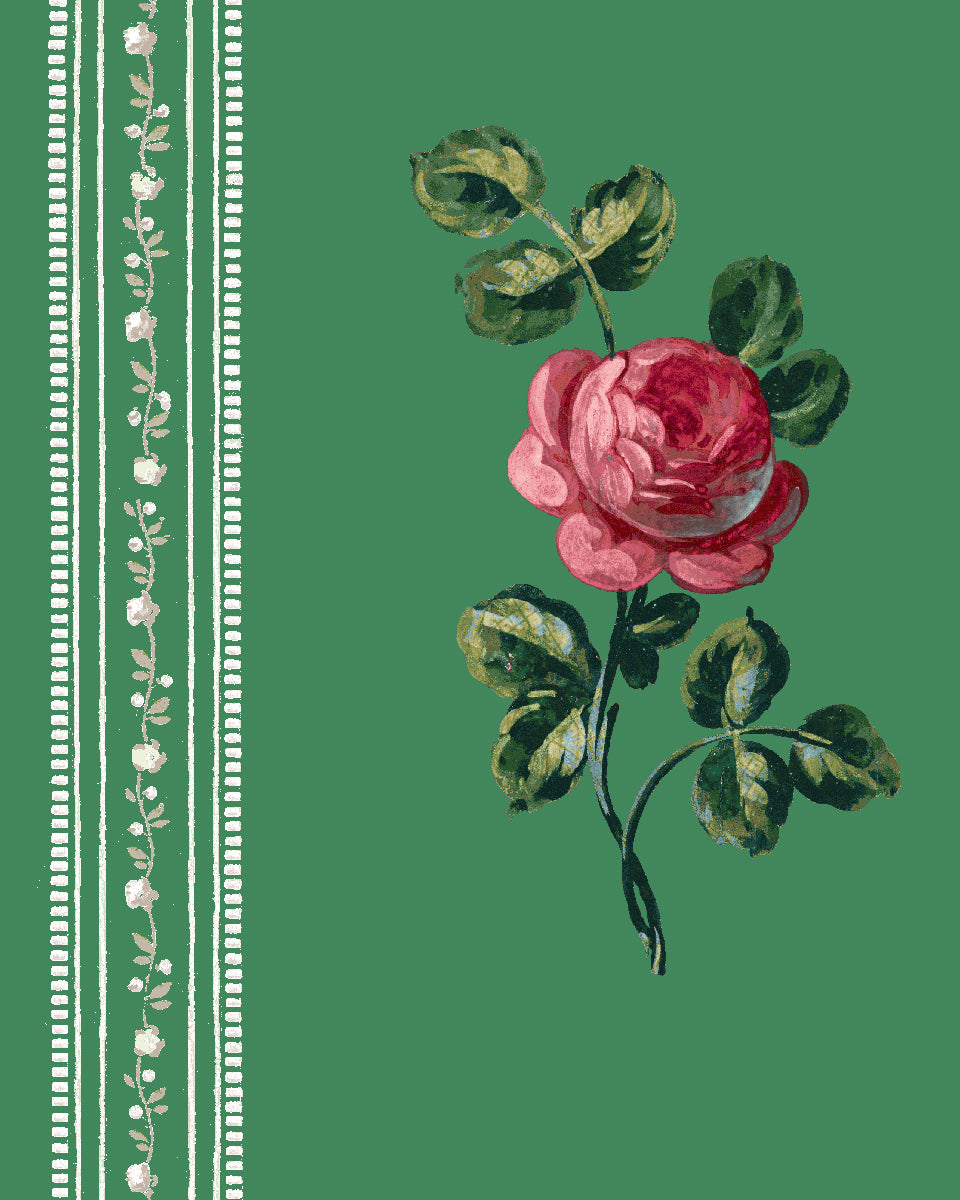 'Le Rosebud' Wallpaper by Clare V. - Fern Rose